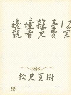 边境杀手1在线观看免费完整版国语