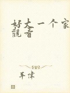 好大一个家在线观看封面