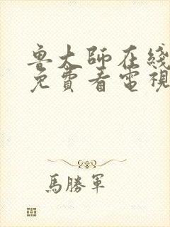 鲁大师在线播放免费看电视剧最新章