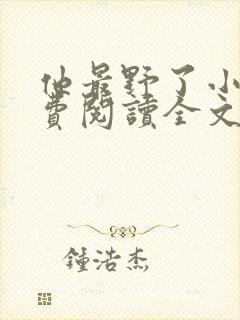 他最野了小说免费阅读全文