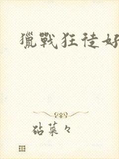 猎战狂徒好看吗封面