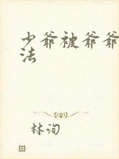 少爷被爷爷打家法封面