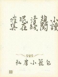 催眠清规小说全集在线阅读无弹窗