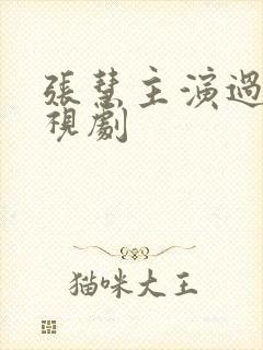 张慧主演过的电视剧