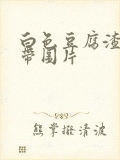 白色豆腐渣样白带图片封面