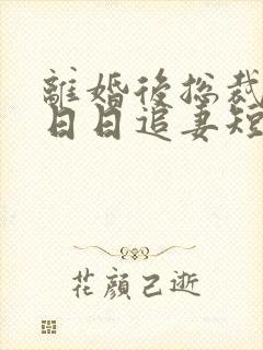 离婚后总裁前夫日日追妻短剧