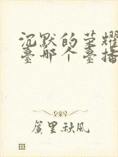 沉默的荣耀电视台哪个台播放