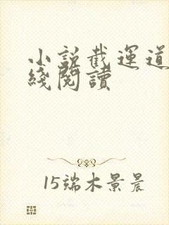 小说截运道师在线阅读