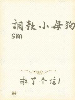 调教小母狗小说sm