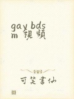 gay bdsm 视频