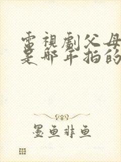 电视剧父母爱情是哪年拍的