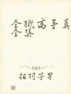 全职高手真人版全集