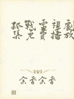 孤战电视剧40集免费播放