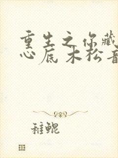 重生之你藏在谁心底 木松音封面