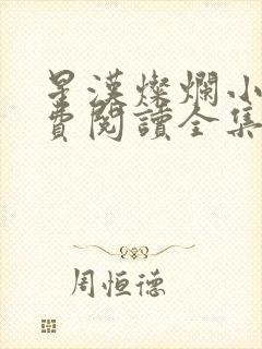 星汉灿烂小说免费阅读全集