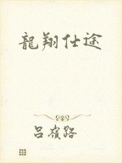 龙翔仕途