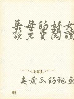 岳母的好女婿小说免费阅读