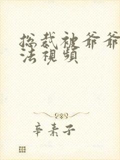 总裁被爷爷打家法视频