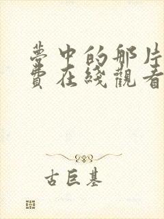 梦中的那片海免费在线观看