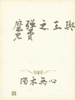 魔弹之王与战姬免费封面