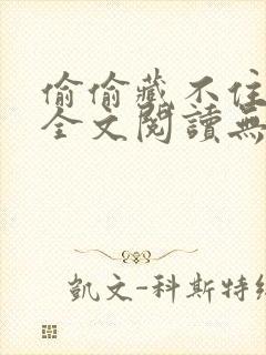 偷偷藏不住小说全文阅读无弹窗