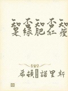 知否知否知否应是绿肥红瘦是哪个季节