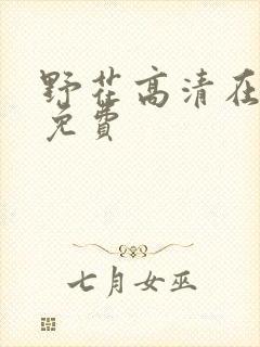 野花高清在线看免费