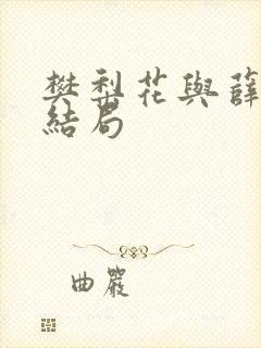 樊梨花与薛丁山结局封面