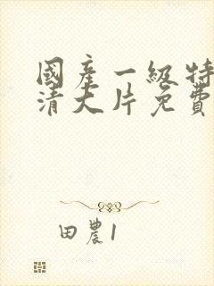 国产一级特黄高清大片免费