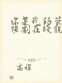 你是我的荣耀电视剧在线观看完整版免费封面