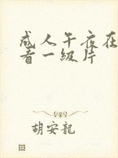 成人午夜在线观看一级片