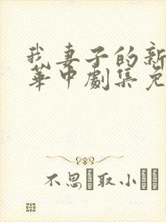 我妻子的新妈妈华中剧集免费观看