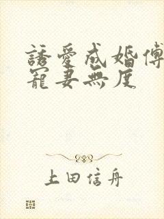 诱爱成婚傅先生宠妻无度