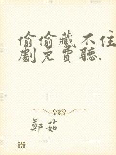 偷偷藏不住广播剧免费听.