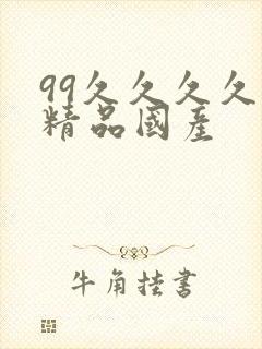 99久久久久久精品国产封面
