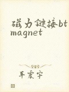 磁力链接bt magnet
