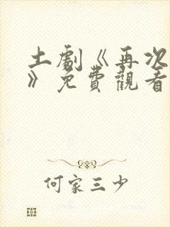 土剧《再次恋爱》免费观看