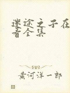 迷途之子在线观看全集