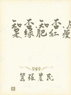 知否.知否.应是绿肥红瘦原著封面