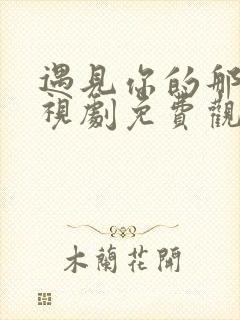 遇见你的那天电视剧免费观看高清