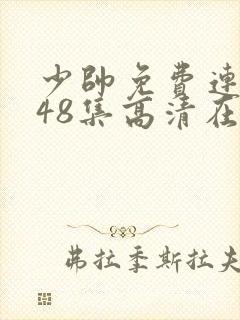 少帅免费连续剧48集高清在线观看