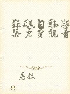 狂飙日韩版40集免费观看