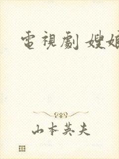 电视剧 嫂娘