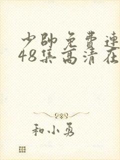 少帅免费连续剧48集高清在线观看