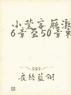 小莹客厅激情46章至50章软件介绍