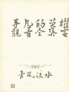 平凡的荣耀免费观看全集电视剧高清