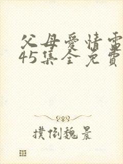 父母爱情电视剧45集全免费封面