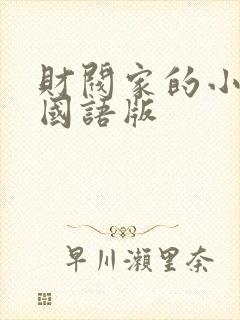 财阀家的小儿子国语版