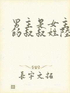 男主是女主男友的叔叔姓陆