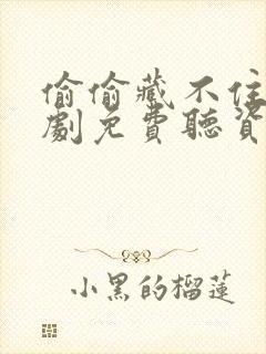 偷偷藏不住广播剧免费听资源